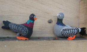 Knitted pigeons on stone ledge (2)