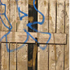 Gates, Bonding Warehouse, York
