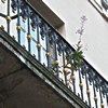 St Leonard's Place - council offices