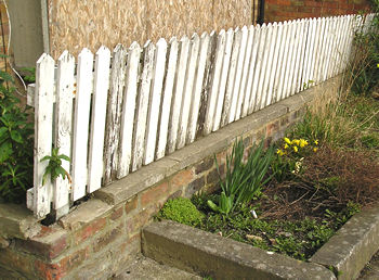 Old white faded fence and flowerbed