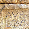 Sarcophagus, detail - Museum Gardens