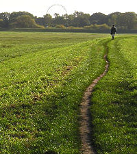 Walker on Clifton Ings, 2006