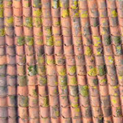 Tiles in the 'rose-red city'