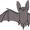 Brilliant bats