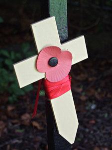 Poppy and wooden cross