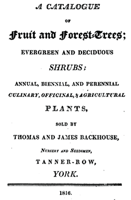 Catalogue of Backhouse Nursery on Tanner Row, 1816