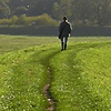 Walker on Clifton Ings