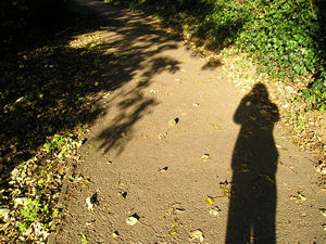 Shadows in low sunlight – path near Clifton Bridge