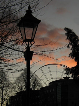 wheel_lamp_trees_sunset_091211_263.jpg