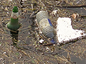 Why are so many people too stupid to find a bin?