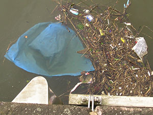 Plastic sheeting and miscellaneous debris