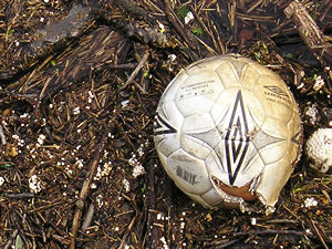 More rubbish