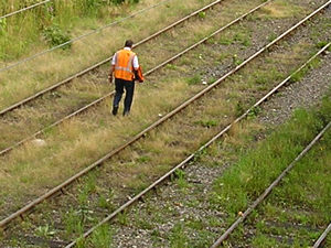 By Holgate Bridge, July 2004