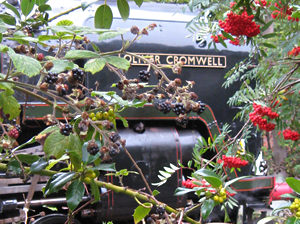 Scarborough Flyer, York Station, 2 Sept 2011