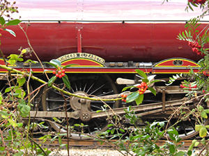 Scarborough Flyer, York Station, 2 Sept 2011