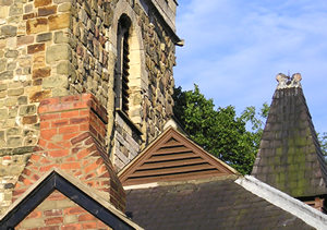 Rooftops, pigeons, and St Mary's tower