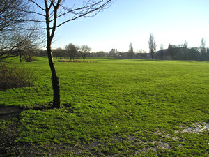By the river at Clifton, winter solstice 2004