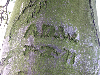 1971 tree carving, near Hemingbrough, Yorkshire