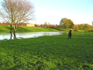 'Paddy's Pitch', Clifton ings