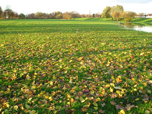 'Paddy's Pitch', Clifton ings