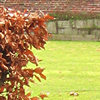 Bowling green, Marygate