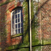 Signs of greenery around what is, presumably, a broken drainpipe