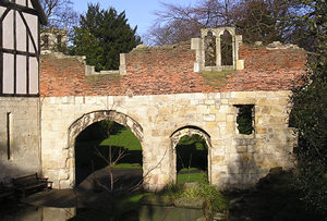 Hosptium, Museum Gardens