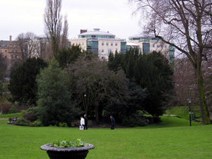 Across the Museum Gardens, with York's newer additions on the skyline. Expensive apartment building, by the side of the Ouse.