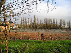 Land between Peasholme Green and the Foss, with the tower of the incinerator of Foss Islands Road tip visible behind the line of trees.