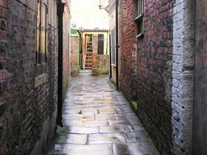 Down Straker's Passage, from Fossgate. Note the way that old stone paving reflects light so handsomely when it's wet. You don't get that with your modern new-fangled tarmac.