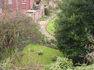 Minster precincts, all green with spring growth