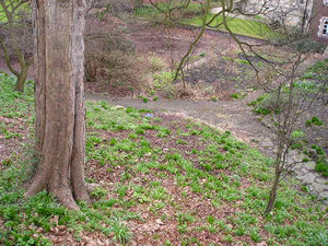 Lots of space here in the gardens of the Minster precincts