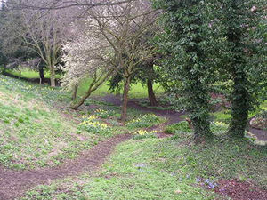 A contrast from the other side of the walls – open space and trees in the Minster precincts