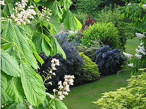 Minster precinct gardens, May 2004