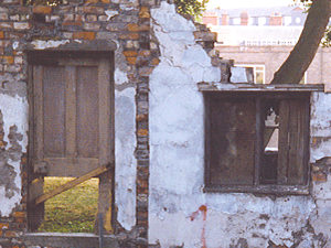 Detail: in Hungate, 1990