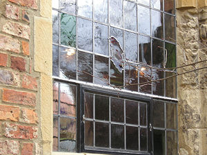Window, Bedern Hall