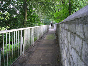 City walls under a canopy of green leaves