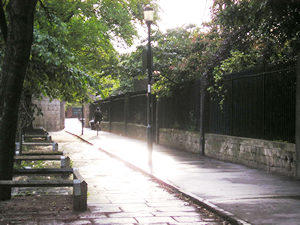 Riverside view, sunny summer evening after rain.