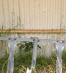 Weedy bike shed