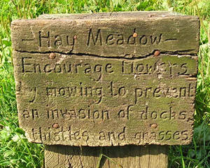 Wooden sign – summer 2004