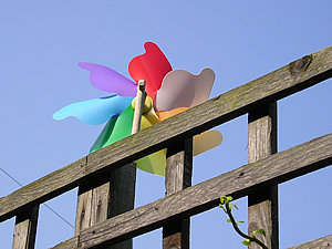 Happy toy windmill, Groves Lane