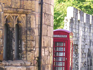 Shy-looking phone box