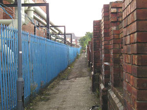 Love Lane