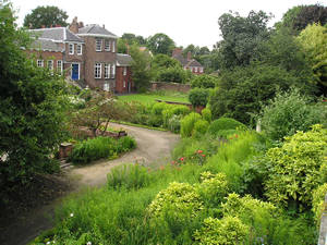 Gardens from the walls