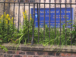 Churchyard of St Olave's