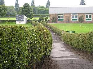 Path through St Peter's, heading towards the river
