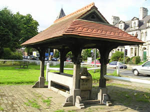 Clifton Green horse trough