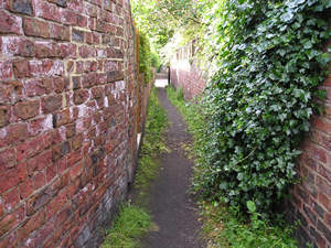 A well-worn route, enhanced by exuberant ivy