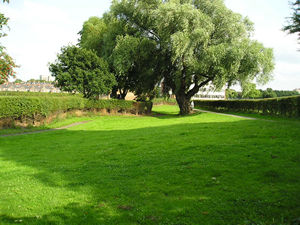 Grassed area alongside Clifton Snickelway at the end of Westminster Road, Clifton
