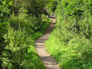 A meandering section of Clifton snickelway